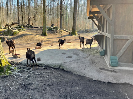 23-02-13 14-00-50 4206